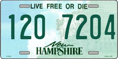 NH license plate 1207204