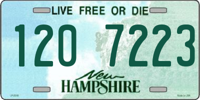 NH license plate 1207223