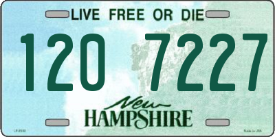 NH license plate 1207227