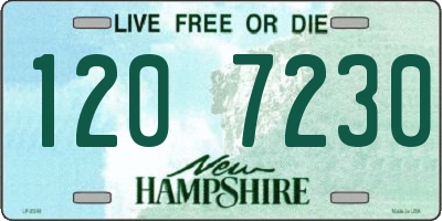 NH license plate 1207230