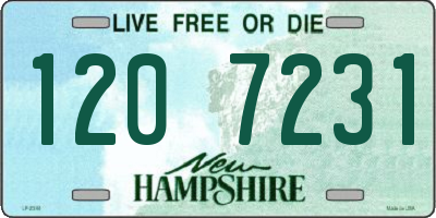 NH license plate 1207231