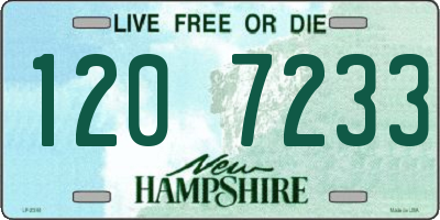 NH license plate 1207233