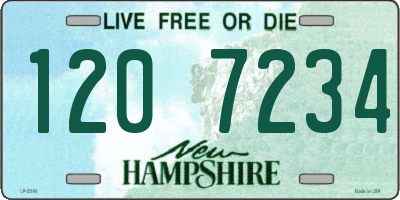 NH license plate 1207234