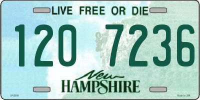 NH license plate 1207236