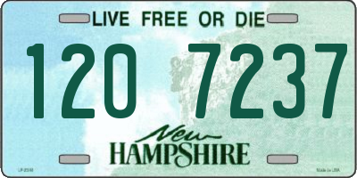 NH license plate 1207237