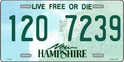 NH license plate 1207239