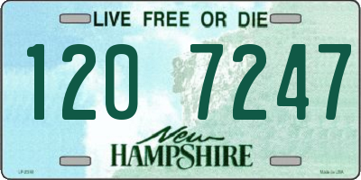 NH license plate 1207247