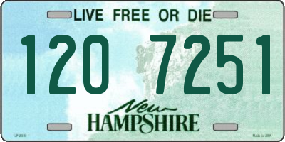 NH license plate 1207251