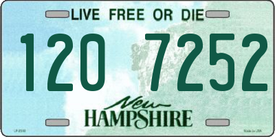 NH license plate 1207252