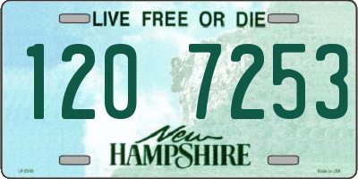 NH license plate 1207253