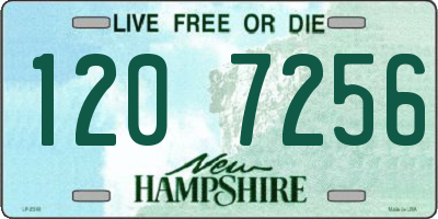 NH license plate 1207256