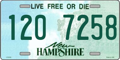 NH license plate 1207258