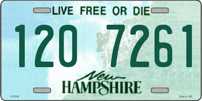NH license plate 1207261