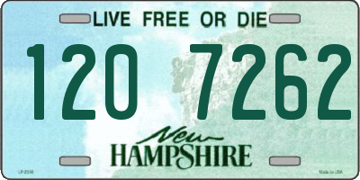 NH license plate 1207262