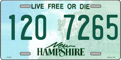 NH license plate 1207265