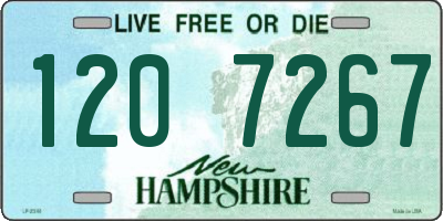 NH license plate 1207267
