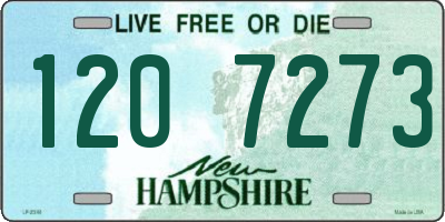 NH license plate 1207273