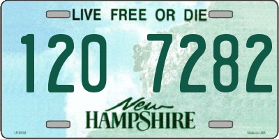 NH license plate 1207282