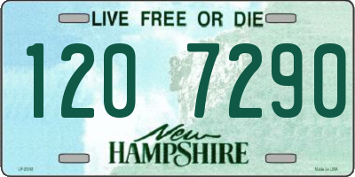 NH license plate 1207290