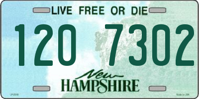 NH license plate 1207302