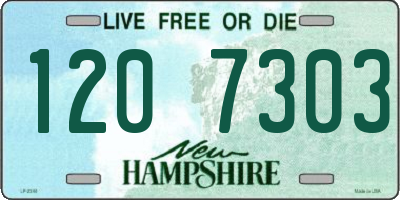 NH license plate 1207303