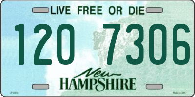 NH license plate 1207306