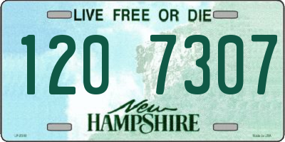 NH license plate 1207307