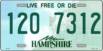 NH license plate 1207312