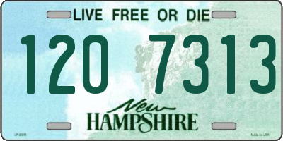 NH license plate 1207313