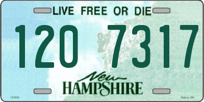 NH license plate 1207317