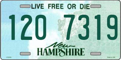 NH license plate 1207319