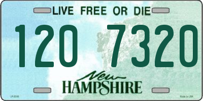 NH license plate 1207320
