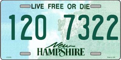 NH license plate 1207322