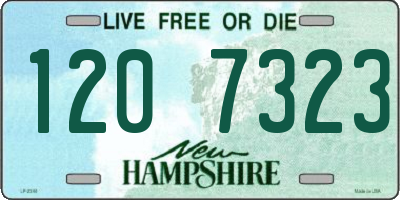 NH license plate 1207323