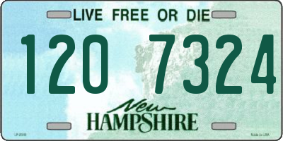 NH license plate 1207324
