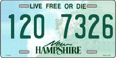 NH license plate 1207326