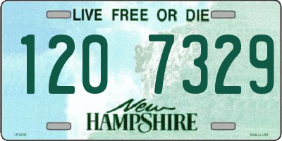 NH license plate 1207329