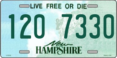 NH license plate 1207330