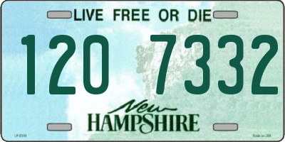 NH license plate 1207332