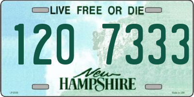 NH license plate 1207333