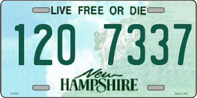 NH license plate 1207337