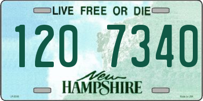 NH license plate 1207340