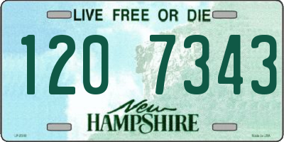 NH license plate 1207343