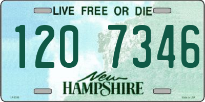 NH license plate 1207346