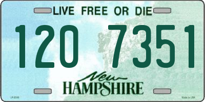 NH license plate 1207351