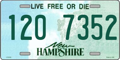 NH license plate 1207352