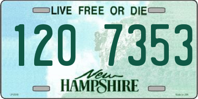 NH license plate 1207353