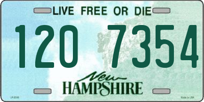 NH license plate 1207354