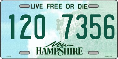 NH license plate 1207356