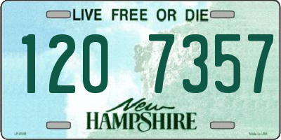 NH license plate 1207357